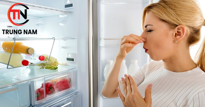 Tủ lạnh xuất hiện mùi hôi khó chịu - Cách khắc phục
